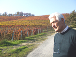 Dream Vineyard of Marziano Abbona