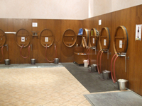 Pump your own wine at Cantina Sociale del Dolcetto