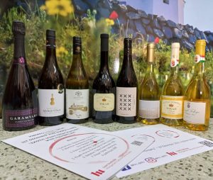 Seven wines presented at the Masterclass for Tasting