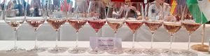 An Array of Rose wines for Tasting at Mundus Vino International Wine Competition