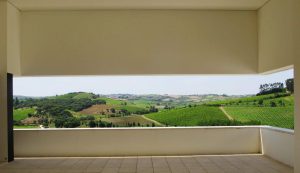 A View of the vineyards from the tasting Room-Is it Lisbon or Tuscany?!!