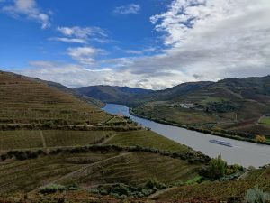 Maria Teresa Vineyards in multicolours on the front bottom – pic taken from the winery