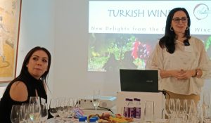Tuba Yargıç making the Presentation 