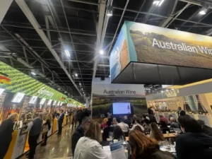 Wine Paris 2026: Reflections trough an Indian Lens