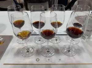 Wine Paris 2026: Reflections trough an Indian Lens