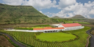 Chandon Wine Estate today