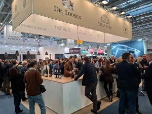 Tasting in the German Hall