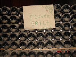 Old is gold? 17 year old wine bottles.