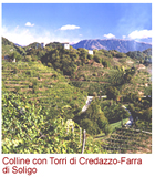 Colline con Torri di Credazzo-Farra di Soligo