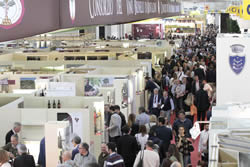 Click For Large View