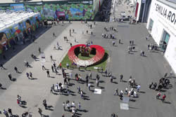 Click For Large View