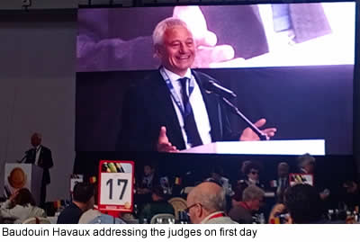 Baudouin Havaux addressing the judges on first day